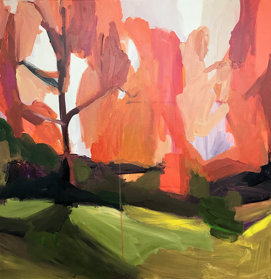 SOLO EXHIBITION OPENS 24 September in NELSON