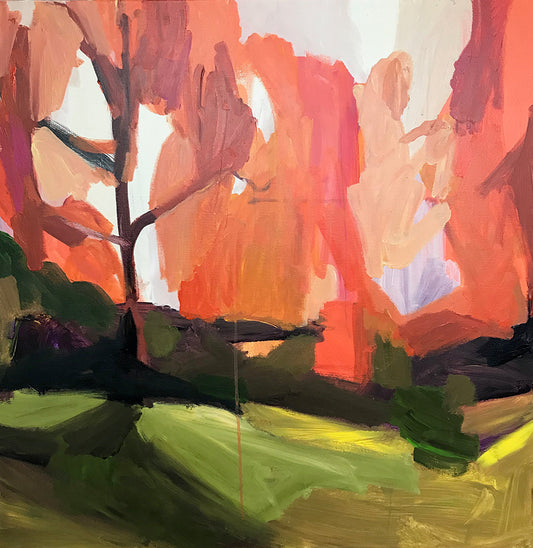 SOLO EXHIBITION OPENS 24 September in NELSON