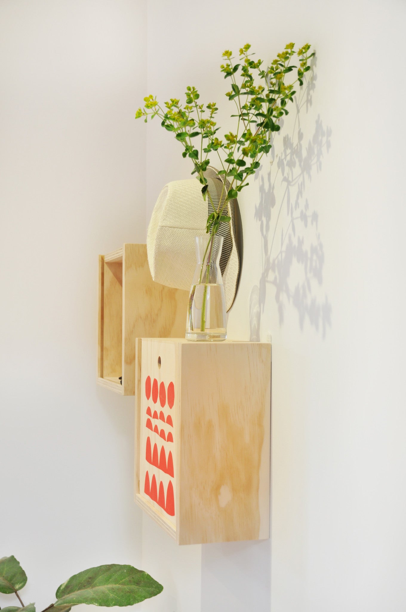 Ply shadow box + print
