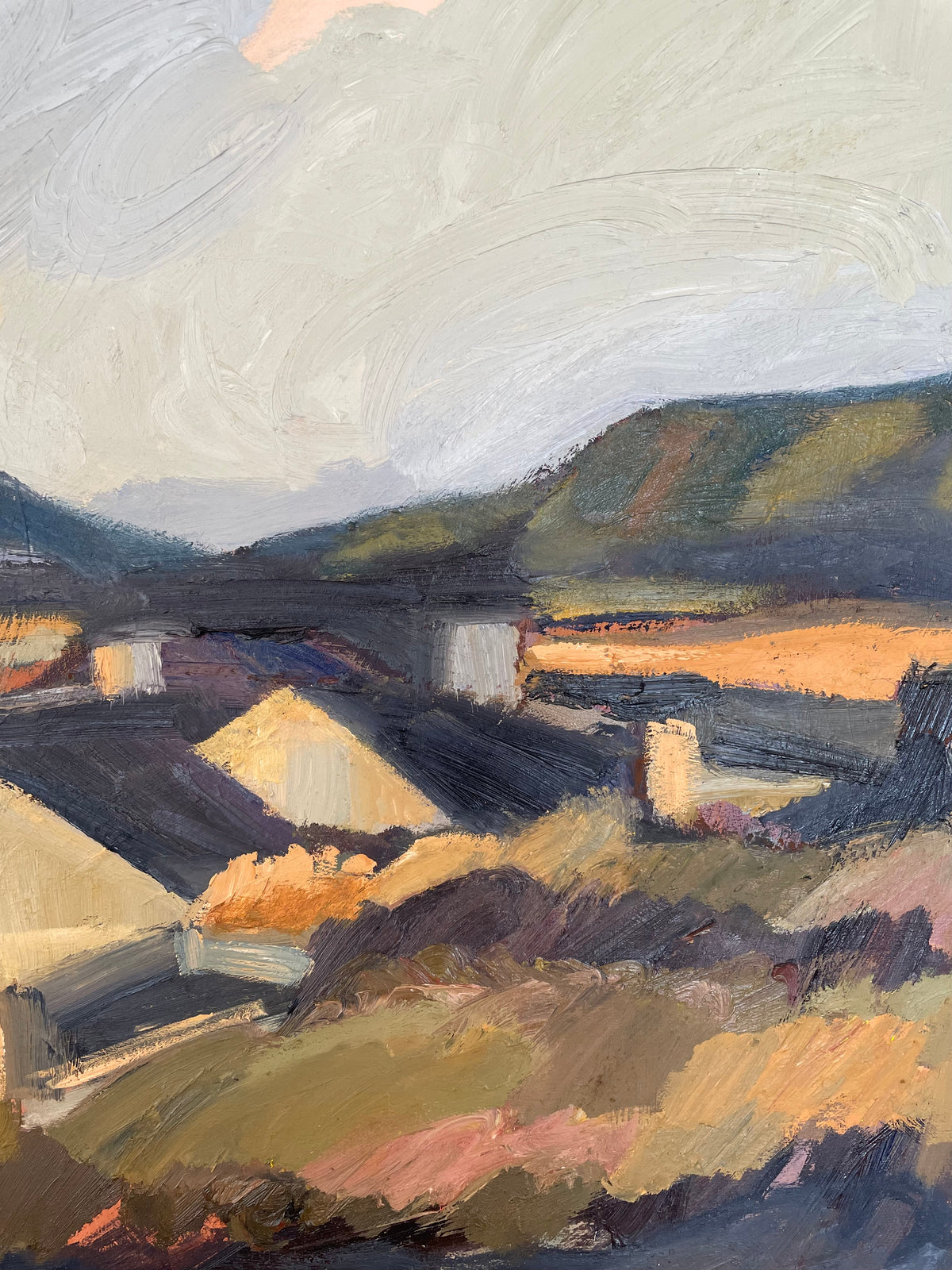 ‘Central Otago Dwelling’